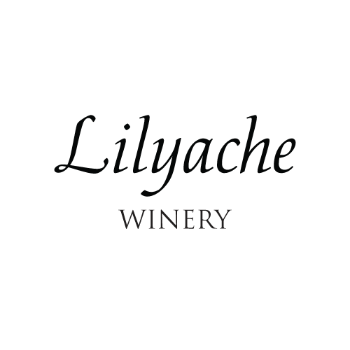 logo Lilyache